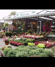 Friedhofsgärtnerei und Blumengeschäft Wieting Bild 1