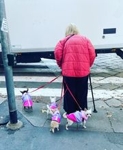 Giuliana Andreoli immagine 4