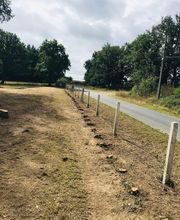 Julien Machefer Elagage EI image 3