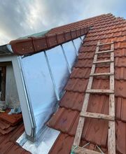 SARL Gibier Alexis image 12