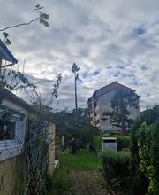 Haut Fil des branches image 1