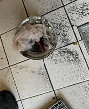 Dbassainissement image 5