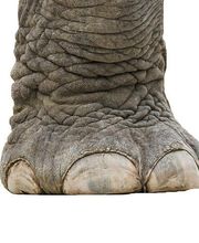 Karine Leroux image 14