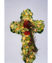 Blumen Heselmann Bild 6