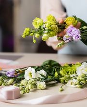 Gärtnerei Koop Bild 2