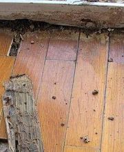 Garbi Aragón imagen 9