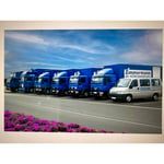 Zimmermann intelligent Relocations e.K