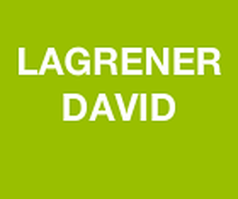 Lagrener David image 1