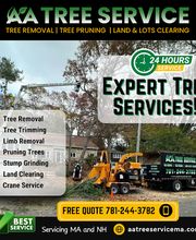 AA Tree Service image 7