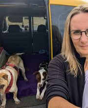 natural.dogs. Bild 8