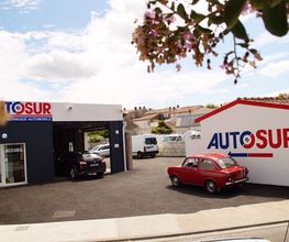 Autosur image 10
