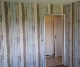 BaboGroup Bild 6