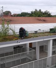 Trinkgeld GmbH Garten- & Landschaftsservice Bild 20