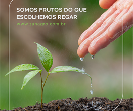 Zanagro Agrocomercial imagen 18