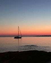 Wisler Brigitte image 2