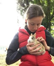 Luana EMINIC HUGO - L'ostéo animaux Bild 14