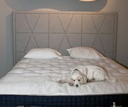 passion for beds. Bild 8