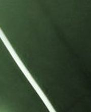 Aldoe Interieurbouw en Onderhoud