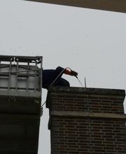 Anti Nuisibles Services SARL image 5
