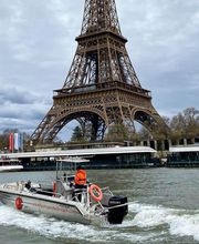 GEAUPOLE image 18