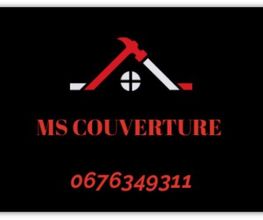 Ms Couverture image 1