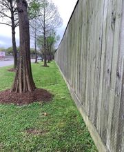 Prestige Tree Service Inc. image 1