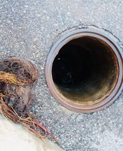 DSP Canalizzazioni Sagl Bild 10