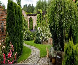 Roye Garden image 3