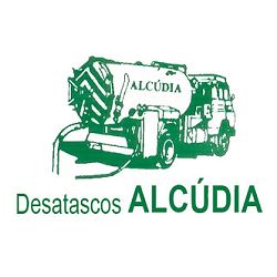 desatascosalcudialogo.png