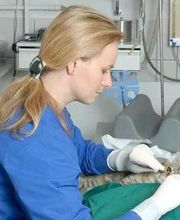 Tierarztpraxis Steinel Jonas Dr. Bild 6