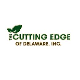The Cutting Edge of Delaware Inc
