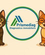 Prismediag - Diagnostics Immobiliers - Thouars - Saumur - Parthenay - Bressuire - Mauléon image 10