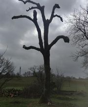 A.D.S Services image 2