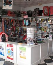 clinica-veterinaria-laguna-interior-02.jpg