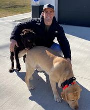 Dog Guard Midwest image 2