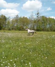 Les Sabots de Villecartier image 4