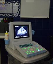 CLÍNICA VETERINÀRIA REUS imagen 7