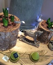 CAPUCINE ET CIE image 9