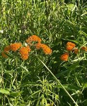 All About Smiles image 12