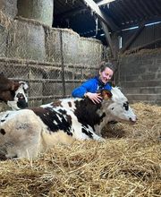 Luana EMINIC HUGO - L'ostéo animaux Bild 13