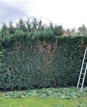 Haus- und Gartenservice - Mittelfranken Pavel Vostarek Bild 12