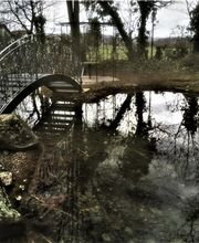 Home & Garden Services Bild 6