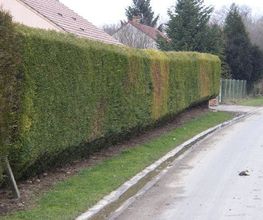 Oisejardin image 6