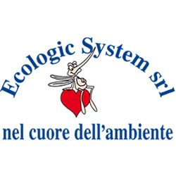 Ecologic System logo