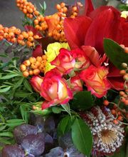 Marceau le fleuriste image 8