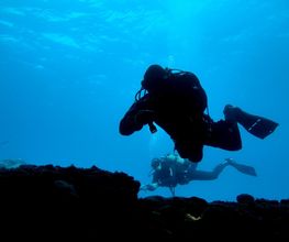 Fuerteventura Diving imagen 4