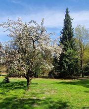Ferienhaus Sommer Bild 9