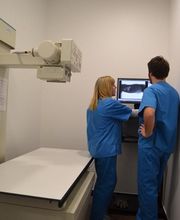 CLÍNICA VETERINÀRIA REUS imagen 6