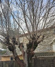 Bourgaud Michel image 3