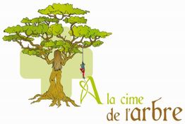 A LA CIME DE L'ARBRE